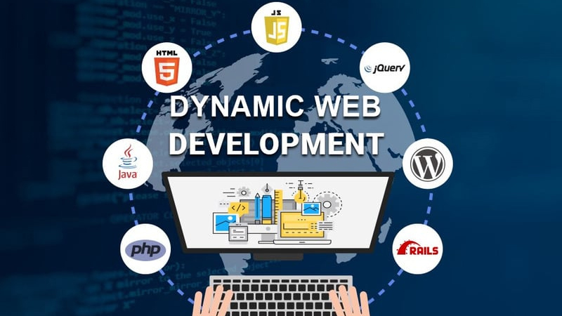 WEB ĐỘNG (DYNAMIC WEBSITE) LÀ GÌ? SINH VẬT BIẾN HÓA TRONG LÒNG ĐẠI DƯƠNG SỐ